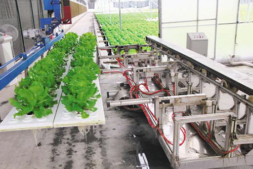 雙創驅動下的未來農業 科技種植技術引領農業農村新變革